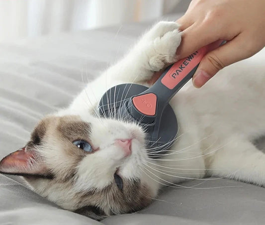 Self-Cleaning Cat Brush