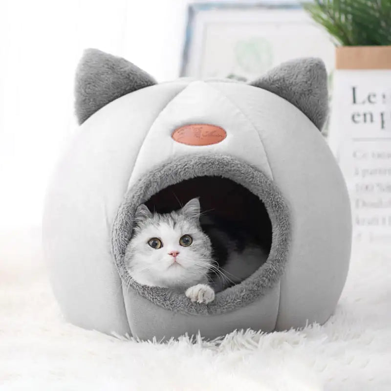 Cozy Cat Cave