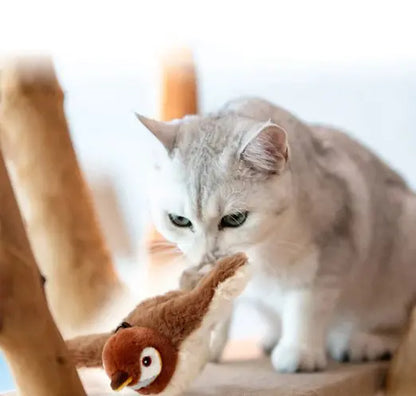 Cat Plush Toys