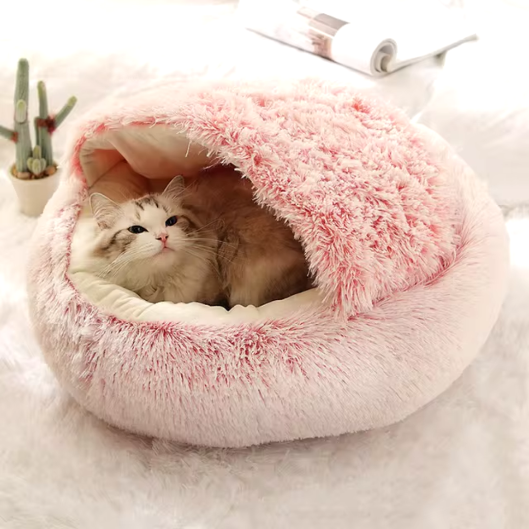 Plush Bed Haven