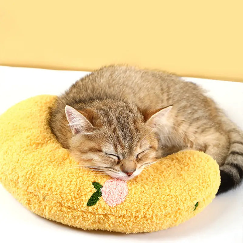 Fashionable Cat Pillow