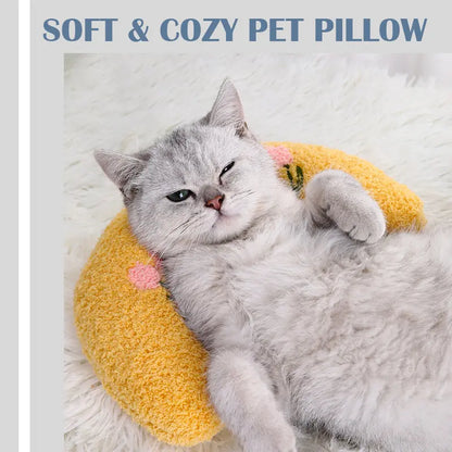 Fashionable Cat Pillow